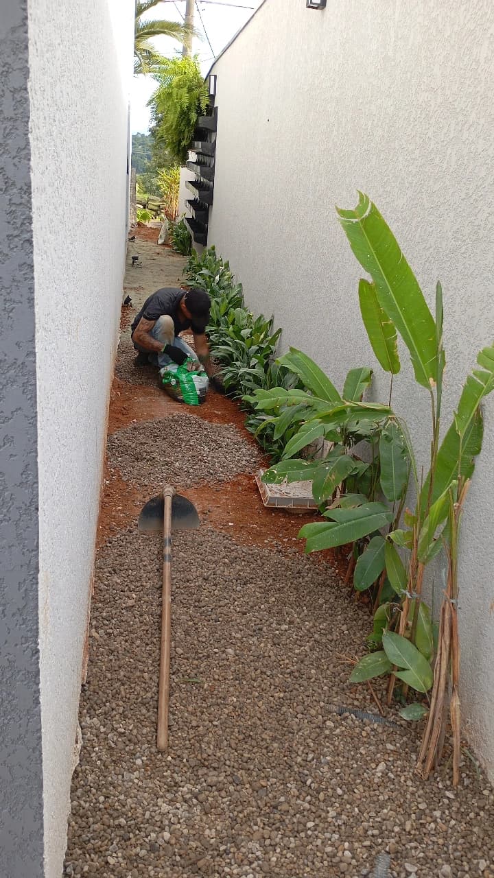 Corredor lateral com plantas recém cuidadas